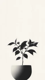 Minimal potted plant silhouette rises in soft neutral light