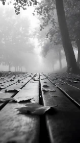 Low-angle foggy park boardwalk with fallen autumn leaves