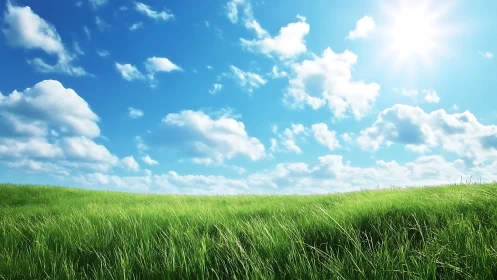 Sunlit grassy field beneath scattered cumulus clouds sky.