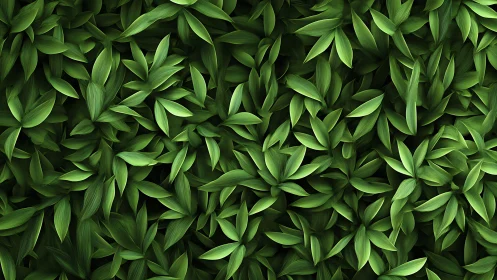 Dense overlapping green leaves forming uniform foliage field.