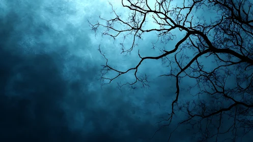Bare tree branches silhouette against moody blue cloudy night sky.