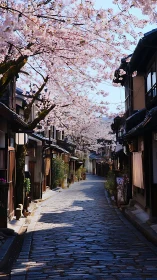 Narrow cobblestone street under dense cherry blossom canopy in spring