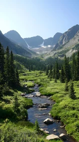Mountain valley stream flows through green alpine meadow