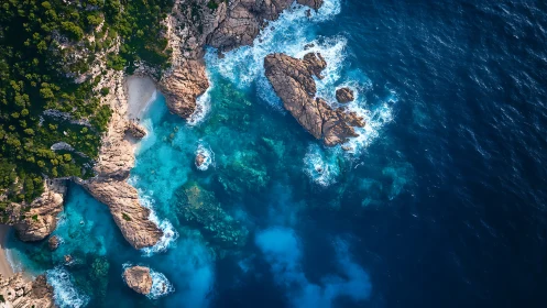 Aerial coastal geology map shows rocky coves and gradient waters