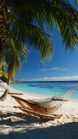 Tropical Beach Sanctuary: Hammock Suspended Under Palm Fronds