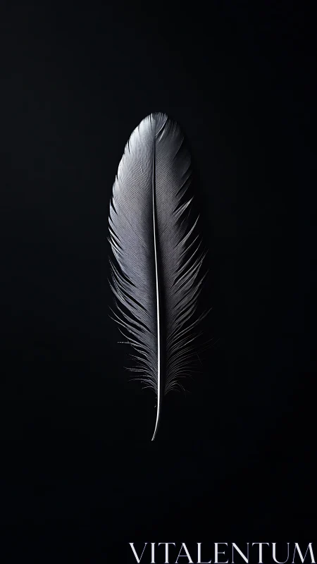 Monochrome feather macro on deep black minimal backdrop.