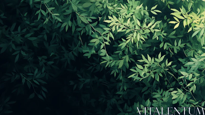 Dense layered foliage with varied green leaf clusters observed.