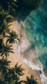 Aerial coastal composition with tropical palms and dynamic wave interaction zones.