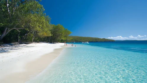 Tropical Paradise Beach with Crystalline Waters.