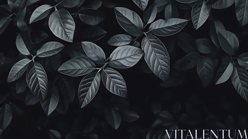 Midnight leaves whispering in charcoal moonlight hush.