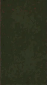 Dark mottled surface with irregular diffuse speckled pattern.