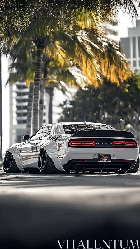 Widebody sports car rests low under bright palm trees