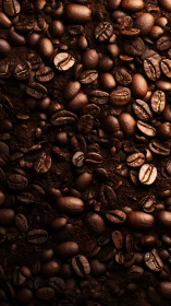 Roasted coffee beans closeup on dark textured background.