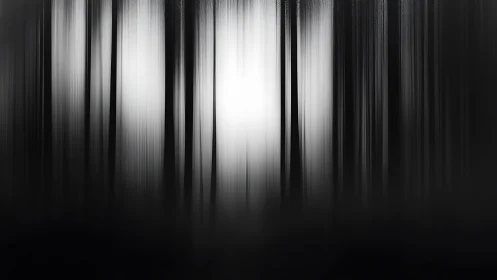 Soft light drifting through a dreamlike monochrome forest.