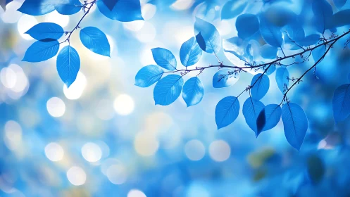 Blue foliage with bokeh background in dreamy abstract style.