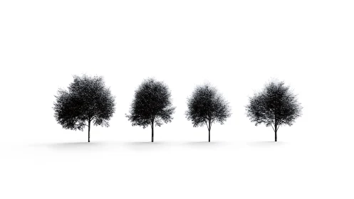 Minimalist quad tree silhouettes on high-key white field.
