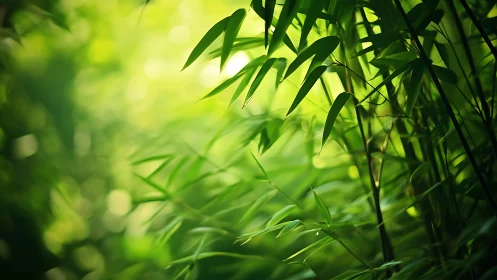 Shallow‑depth bamboo foliage under diffused backlit green bokeh