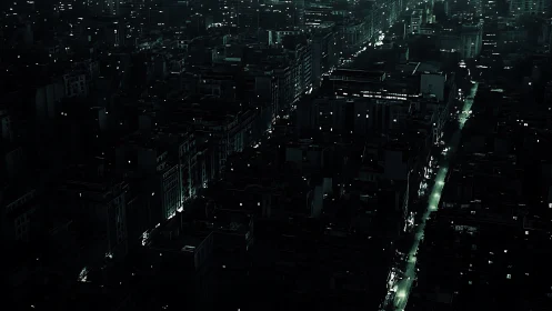 Dense nocturnal cityscape with linear street illumination.