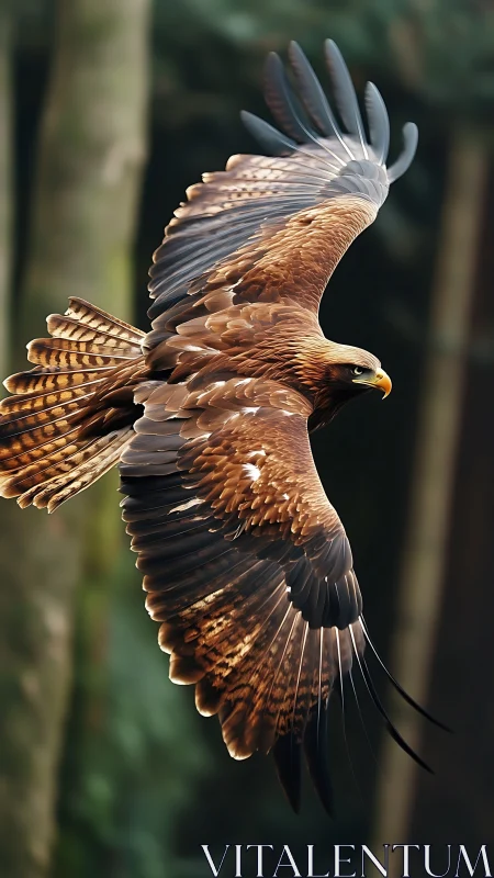 Golden eagle captured mid-bank with high-detail feather rendering