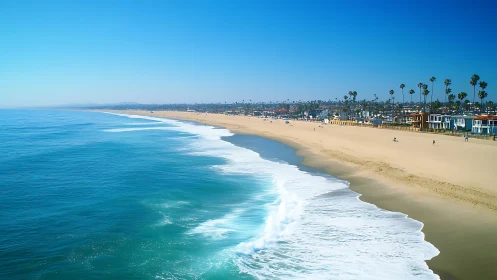 Sunny coastal beach with blue ocean and seaside homes.