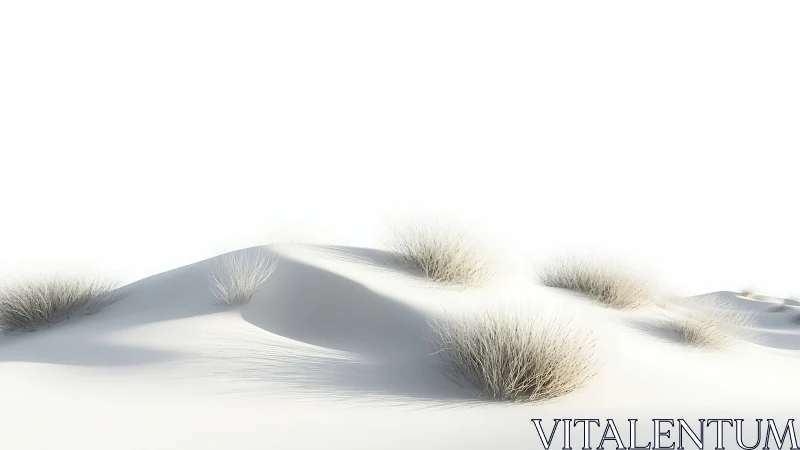 Minimalist white sand dunes with sparse desert grasses.