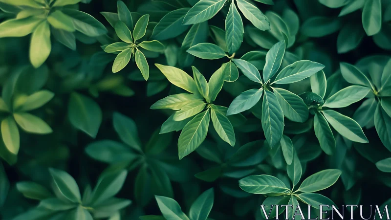 Green foliage pattern with overlapping glossy leaves.