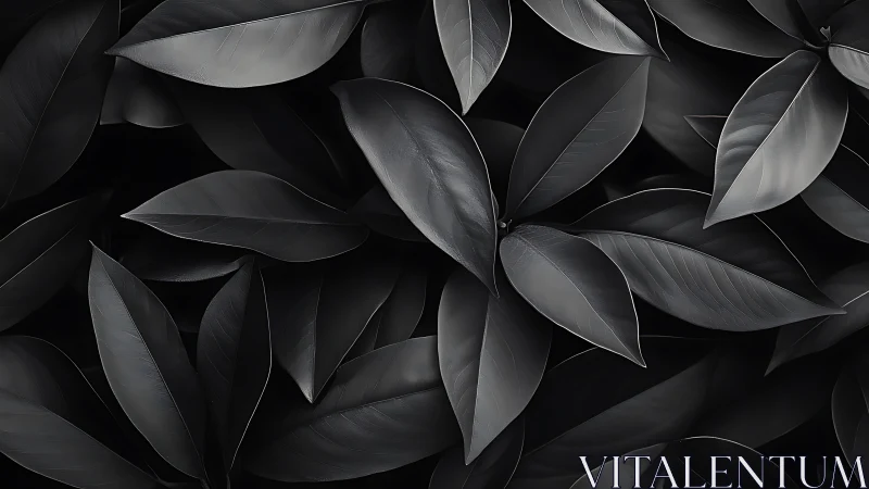 Monochrome rubber leaves form dense overlapping foliage pattern