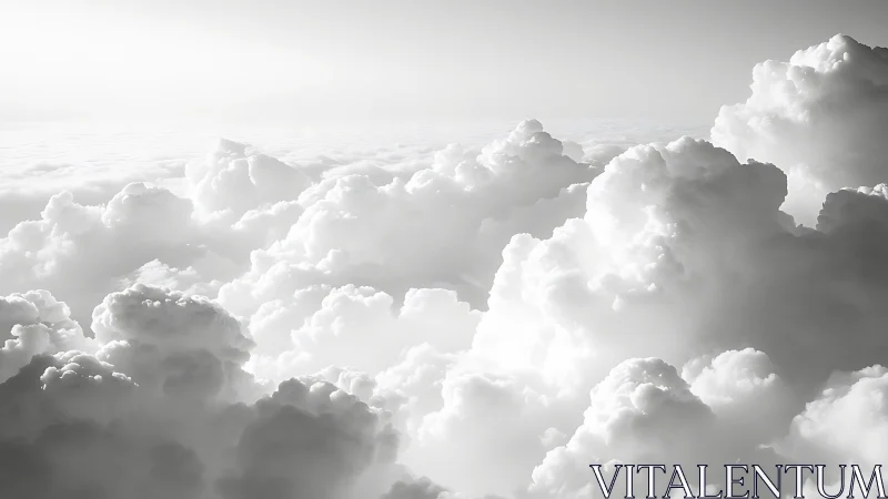 Cumulus cloudscape rendered in high-key monochrome light
