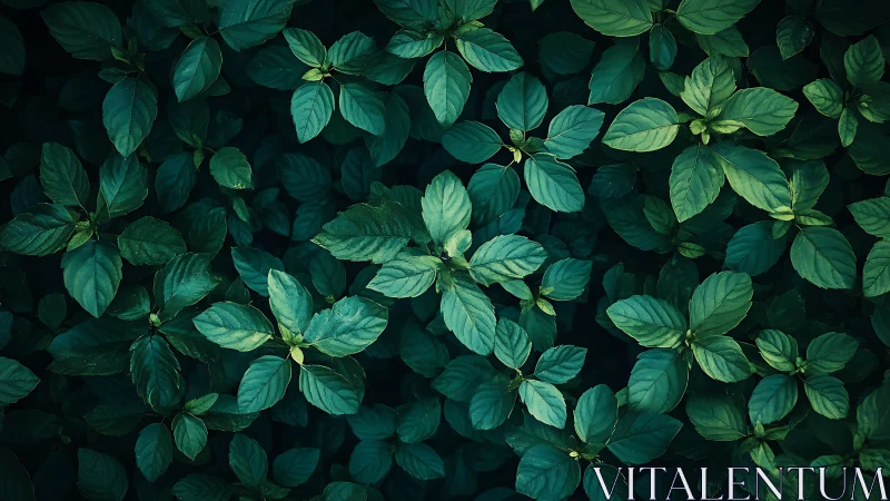 Dense green foliage pattern with layered oval leaves.