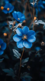 Delicate Blue Flax Flowers Bloom in Serene Garden Setting