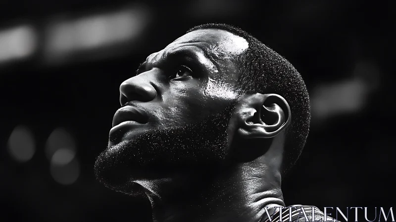 Monochrome courtside portrait in dramatic upward angle study.