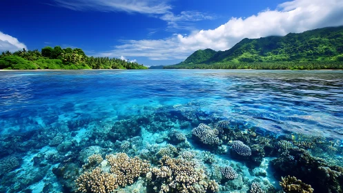 Tropical fringing reef in clear shallow lagoon with lush coastline