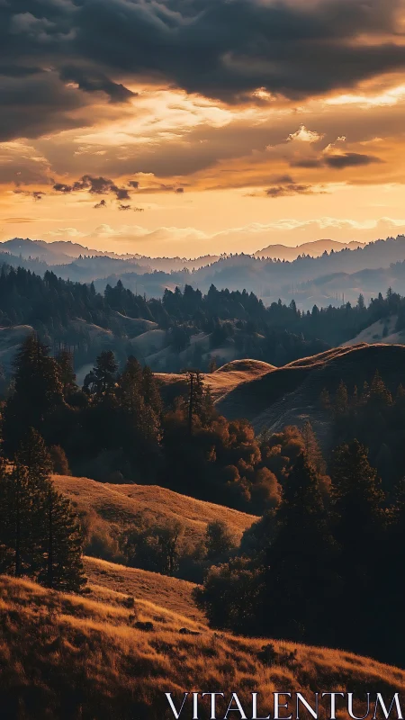 Golden hour light over rolling forested hills at dusk.