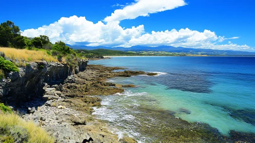 Sunlit cliffs flirting with turquoise Tasman Sea horizons.