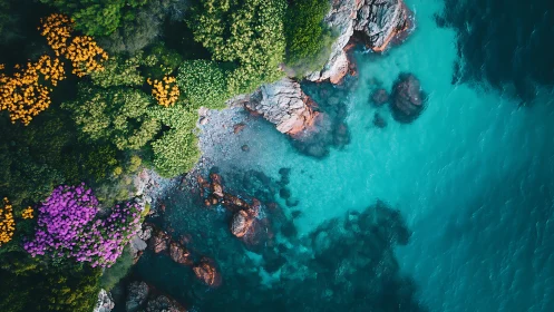Shimmering turquoise cove meets bright wild coastal flowers