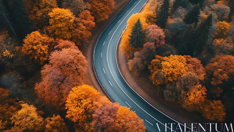 Serpentine Path Through Autumn's Golden Embrace.