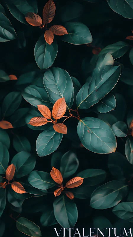 Contrasting green and orange foliage occupies the vertical frame
