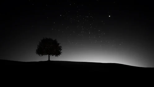 Solitary tree crowns dark hill under star-filled night sky
