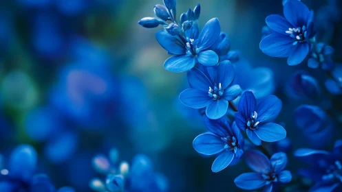 Delicate blue flowers in soft focus bokeh light.