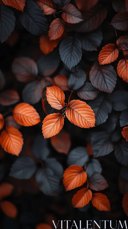 Ember leaves drift through midnight foliage in quiet glow.