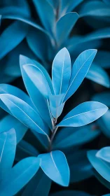 Macro foliage study in cool monochrome botanical rendering.