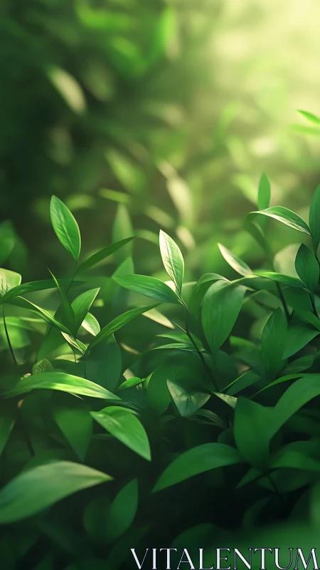Sunlit green foliage with soft bokeh depth of field.