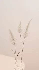 Minimal pampas grass stems against soft beige background.