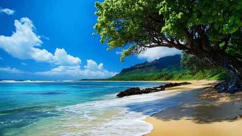 Tropical Paradise Awaits Under Towering Green Canopy