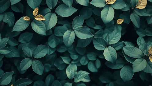 Quiet emerald leaves welcome gentle golden accents of light