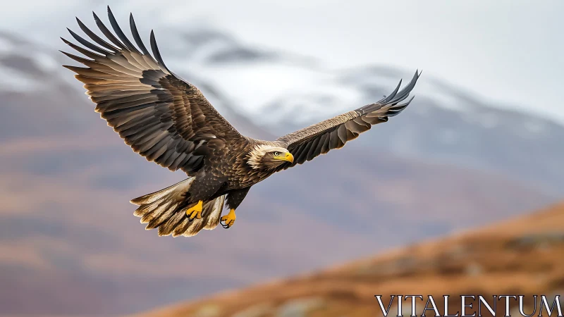 Majestic Bald Eagle Soaring Over Mountain Landscape in Sharp Focus.