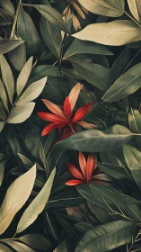 Scarlet tropical blossoms emerge from layered jungle foliage.