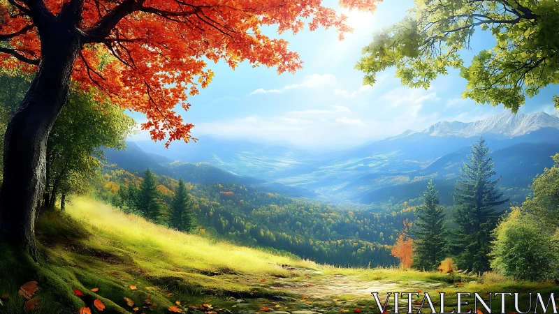 Sunlit autumn overlook above a storybook mountain valley.