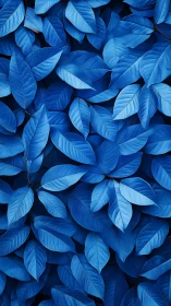 Monochrome blue leaves form a calming abstract foliage field.