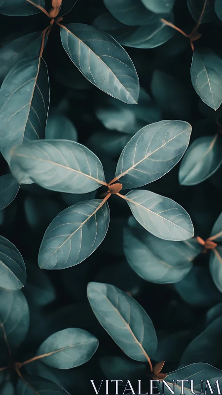 Close-up foliage pattern with teal-toned elliptical leaves.